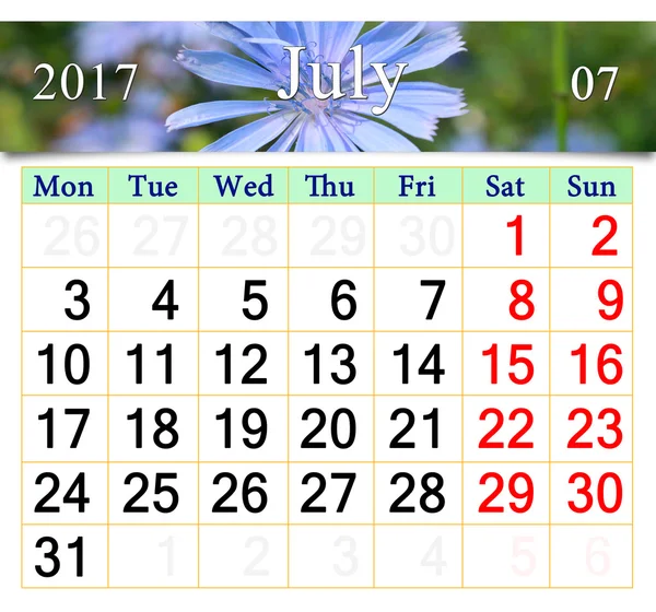 Kalendarz dla lipca 2017 z kwiatami Cichorium — Zdjęcie stockowe