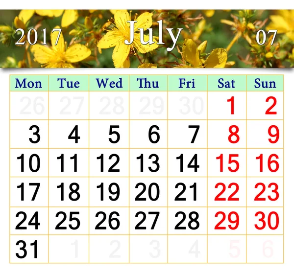 Július 2017, virágok, St. John's Wort naptár — Stock Fotó