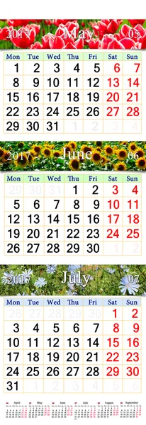 Calendar for three months 2017 with pictures of nature — Stock Photo, Image