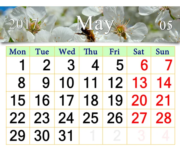 Calendar for May 2017 with blooming cherry tree — Stock Photo, Image