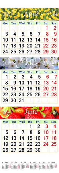 Calendar for April- June 2017 with pictures — Stock Photo, Image