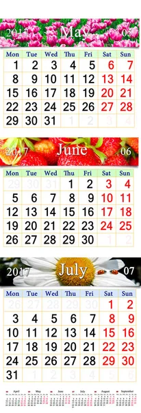 Calendário para três meses 2017 com fotos da natureza — Fotografia de Stock