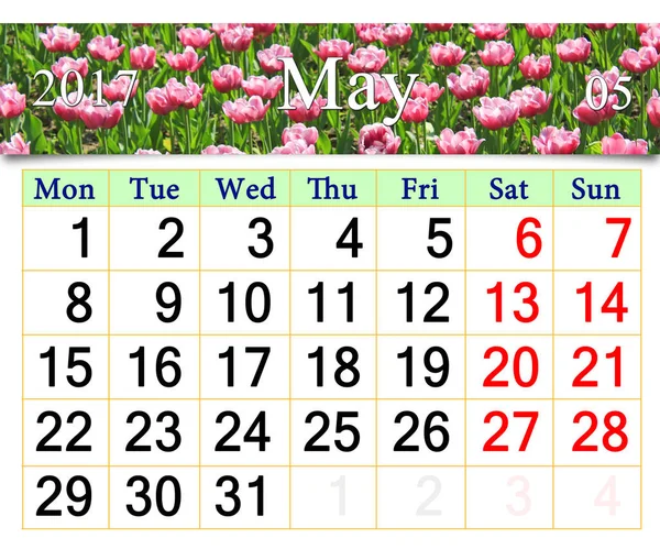 Календарь на май 2017 года с клумбой из тюльпанов сирени — стоковое фото