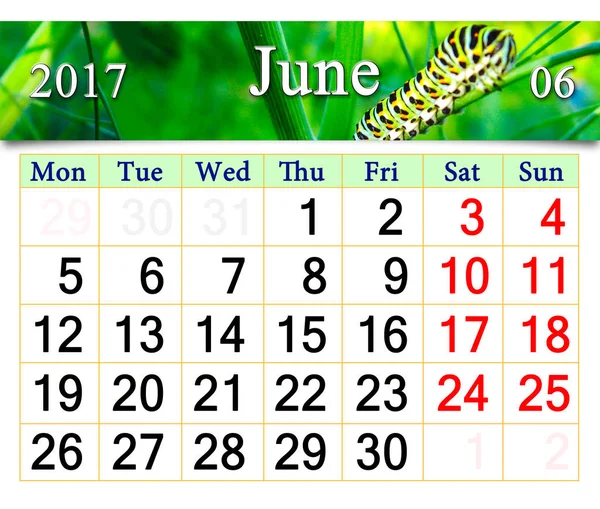 Kalender voor juni 2017 met rups — Stockfoto