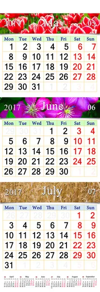 Calendario para tres meses 2017 con fotos de la naturaleza —  Fotos de Stock