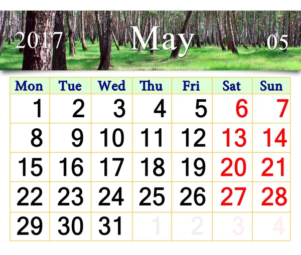 Календарь на май 2017 года с весенней рощей — стоковое фото