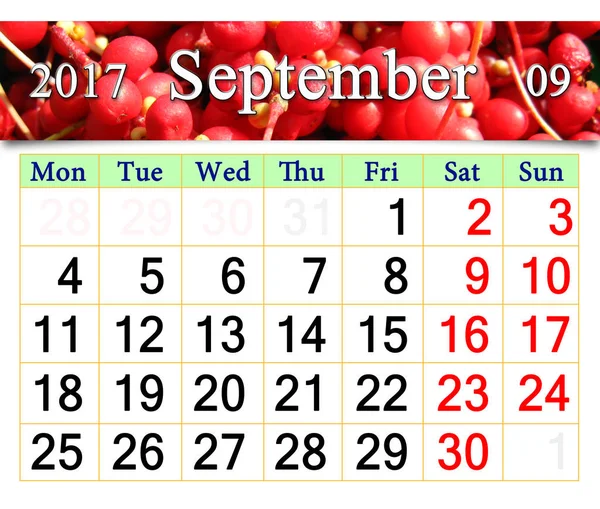 Calendar for October 2017 with branch of schisandra — Stock Photo, Image