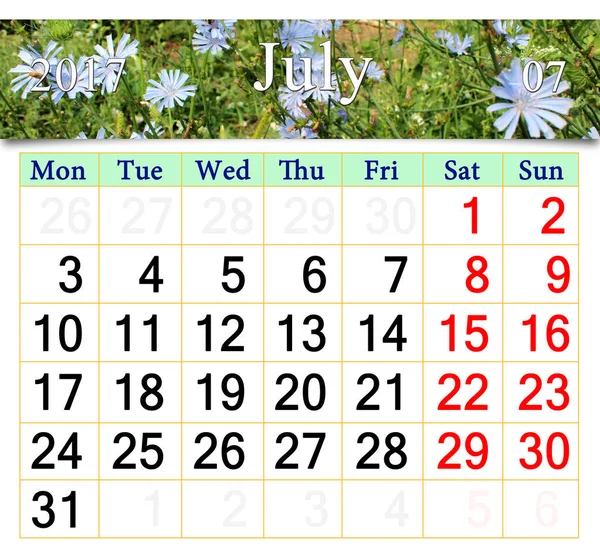 Kalendář na červenec 2017 s květinami Cichorium — Stock fotografie