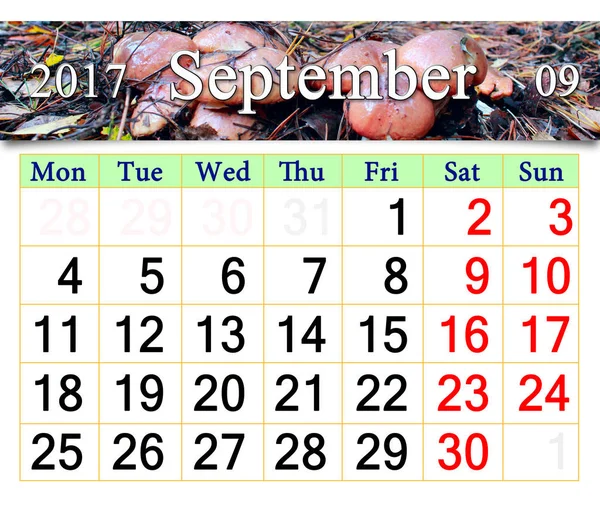 Ημερολόγιο Σεπτεμβρίου 2017 με μανιτάρια της Suillus — Φωτογραφία Αρχείου