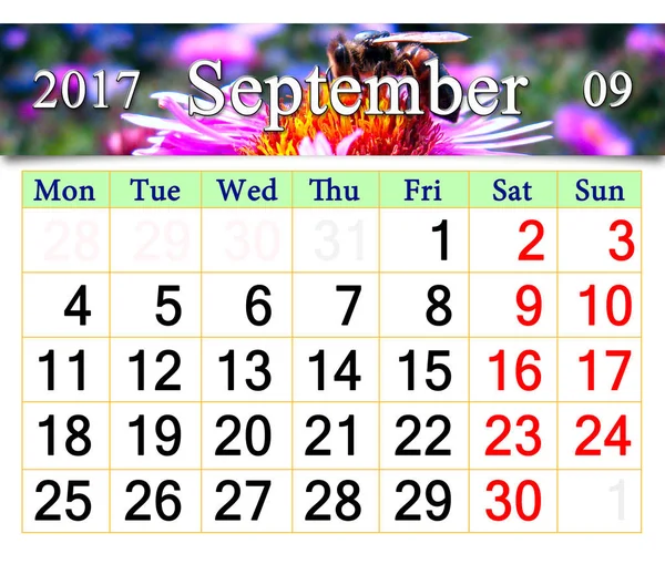 Kalenderblatt für September 2017 mit Biene auf rosa Aster — Stockfoto