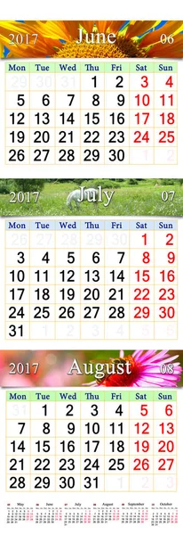 Calendar for June July and August 2017 with colored pictures