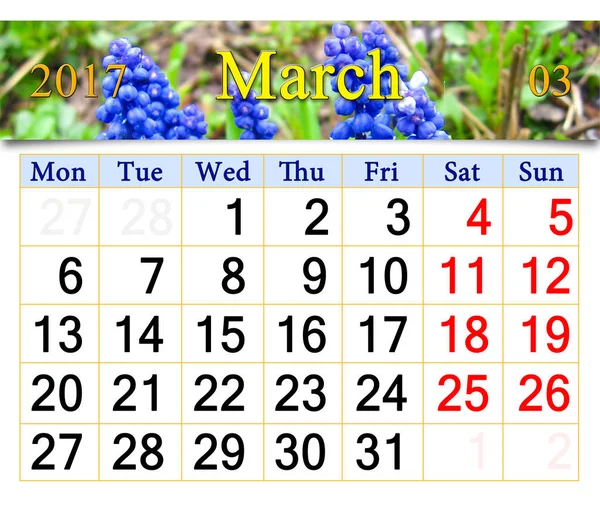 Kalender voor maart 2017 met muscari — Stockfoto