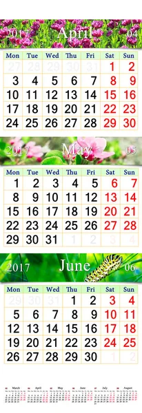 4 月-2017 年 6 月与图像的日历 — 图库照片