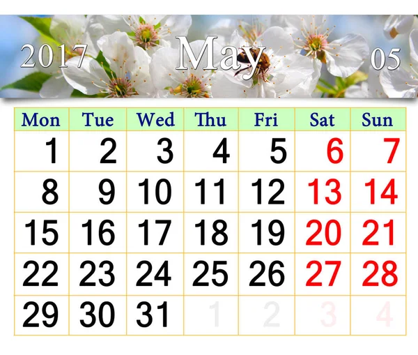 Calendar for May 2017 with blooming cherry tree — Stock Photo, Image