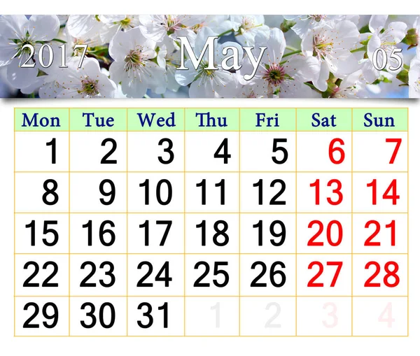 Calendar for May 2017 with blooming cherry tree — Stock Photo, Image