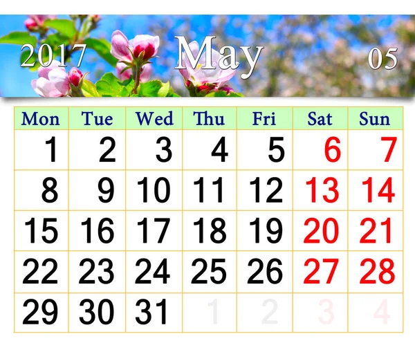 Kalender für Mai 2017 mit blühenden Knospen des Apfelbaums — Stockfoto