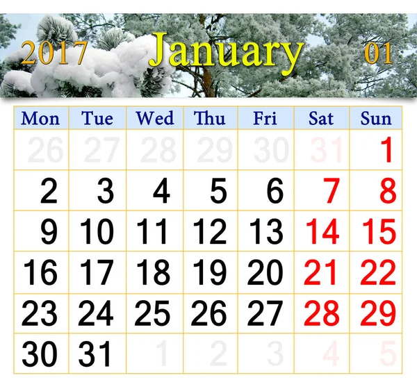 Calendario para enero 2017 con ramas de pino nevado — Foto de Stock