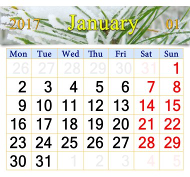 takvimi Ocak 2017 karlı çam dalları ile