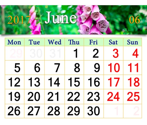 Calendar for June 2017 with lilac bluebells — Stock Photo, Image