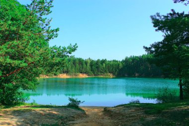 Ormandaki güzel göl