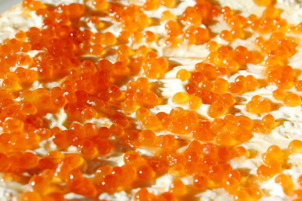 Dish with red caviar — Stock Photo, Image