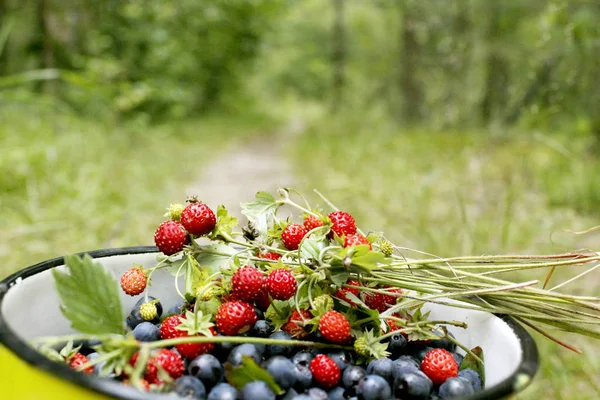 在森林的小道上的罐头上的越橘和野生草莓作物 — 图库照片