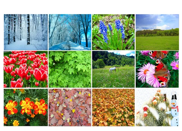 Boş Takvim için doğanın on iki renkli görüntülerle