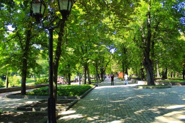 patika Park büyük ağaçlar ile