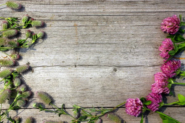 gri ahşap arka plan üzerinde kırmızı yonca çiçeklerle dekorasyon