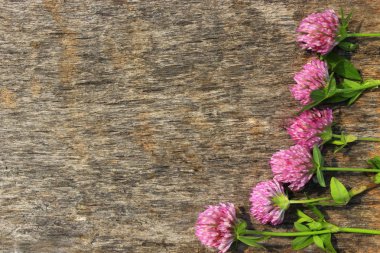 gri ahşap arka plan üzerinde kırmızı yonca çiçeklerle dekorasyon