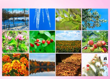 Boş Takvim için doğanın on iki renkli görüntülerle