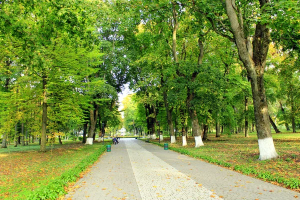 Beau parc avec beau chemin de promenade et de grands arbres verts — Photo