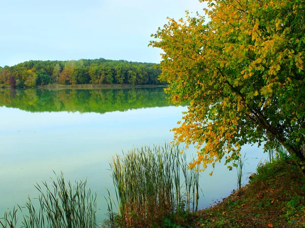 Όμορφη λίμνη στο δάσος το φθινόπωρο — Φωτογραφία Αρχείου