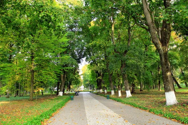 Beautiful park with nice promenade path and big green trees — Stock Photo, Image