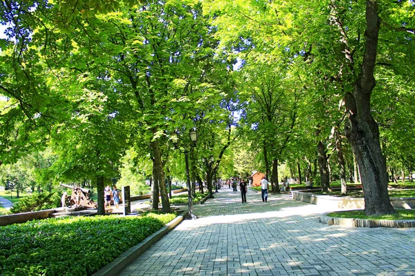 Hermoso parque con agradable camino de paseo marítimo y grandes árboles verdes —  Fotos de Stock