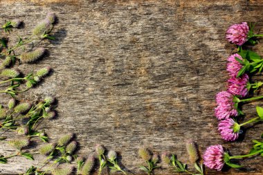 gibi bir çerçeve ahşap arka plan üzerinde kırmızı yonca çiçeklerle dekorasyon