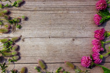 gibi bir çerçeve ahşap arka plan üzerinde kırmızı yonca çiçeklerle dekorasyon