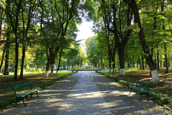 Jesienny park z promenady ścieżki i wielkie drzewa — Zdjęcie stockowe