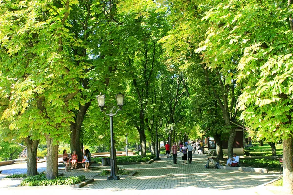 Mensen lopen in zomer park met grote bomen — Stockfoto