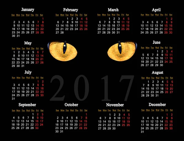 Fekete macska szeme 2017 naptár — Stock Fotó