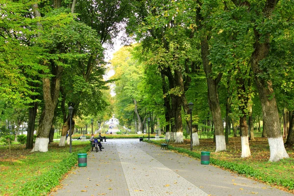 Autumnal park with promenade path and big trees in Kachanivka — Stock Photo, Image