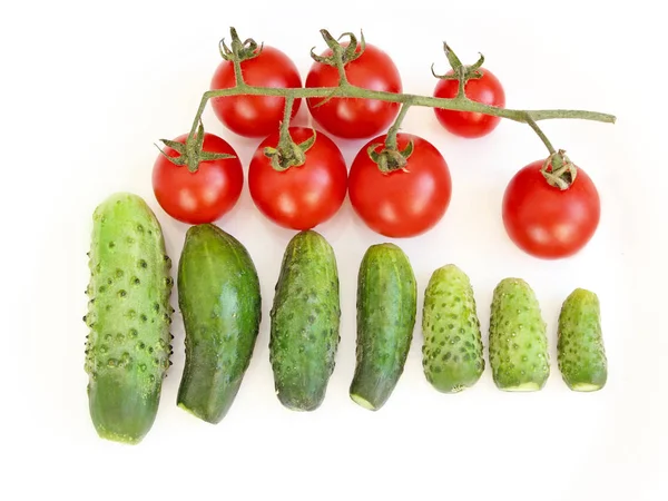 Cucumbers and tomatoes isolated on the white — Stock Photo, Image