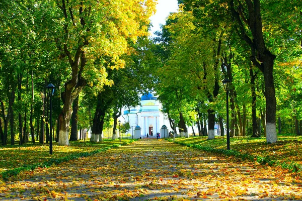 Осенний парк с прогулочной дорожкой и большими деревьями — стоковое фото
