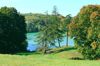 Göl ormanın içinde mavi su ile