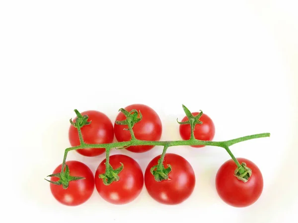 Větev červené cherry rajčátky izolované na bílém — Stock fotografie