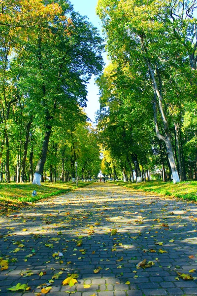 Autumnal park with promenade path and trees — Stock Photo, Image