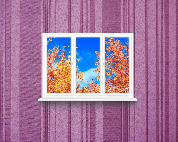 Window with view to red leaves of aspens — Stock Photo, Image