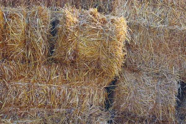 Straw stacked in bales — Stock Photo, Image