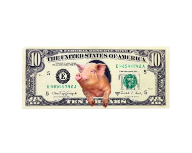 domuz görünüyor on dolar dışarı onun yerine izole Amerikan Başkanı Not