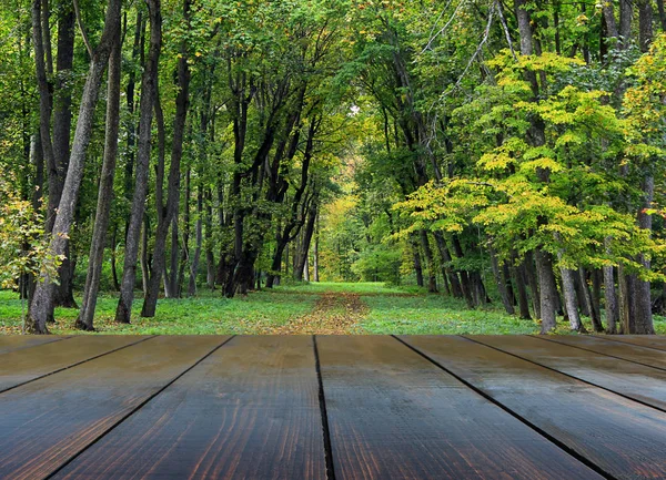 park yolu manzaralı ahşap panoları